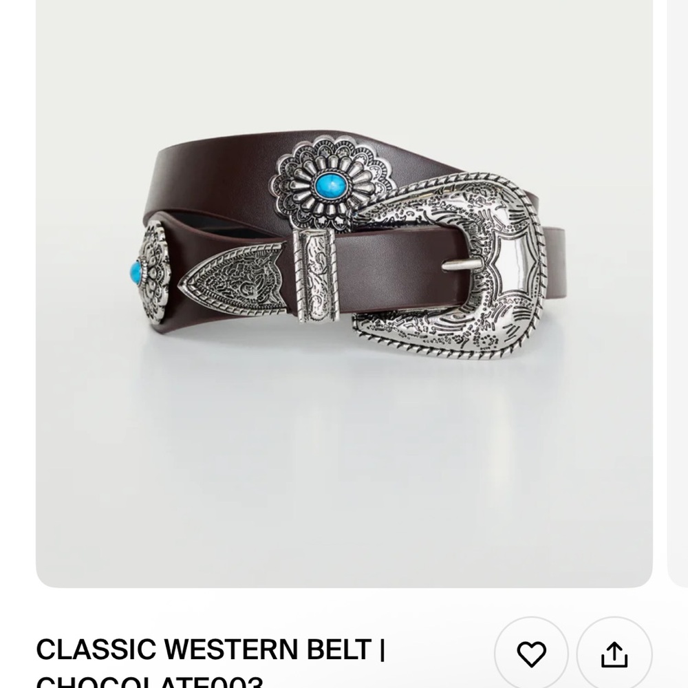 Good American Silver Western Brown Belt Festival